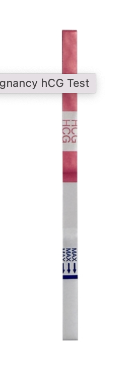 Pregnancy hCG Strips - Ultra Sensitive Early Detection - Box of 25 ($1.25 each)