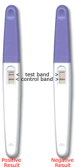 Pregnancy Test Kits - hCG Midstream Test - Box of 25 ($1.25 each)